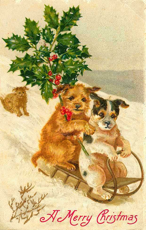 Vintage Christmas cards and postcards - two dogs sledding down a hill.