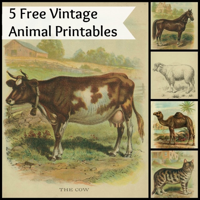 Vintage animal printables for crafts or just printing out and framing