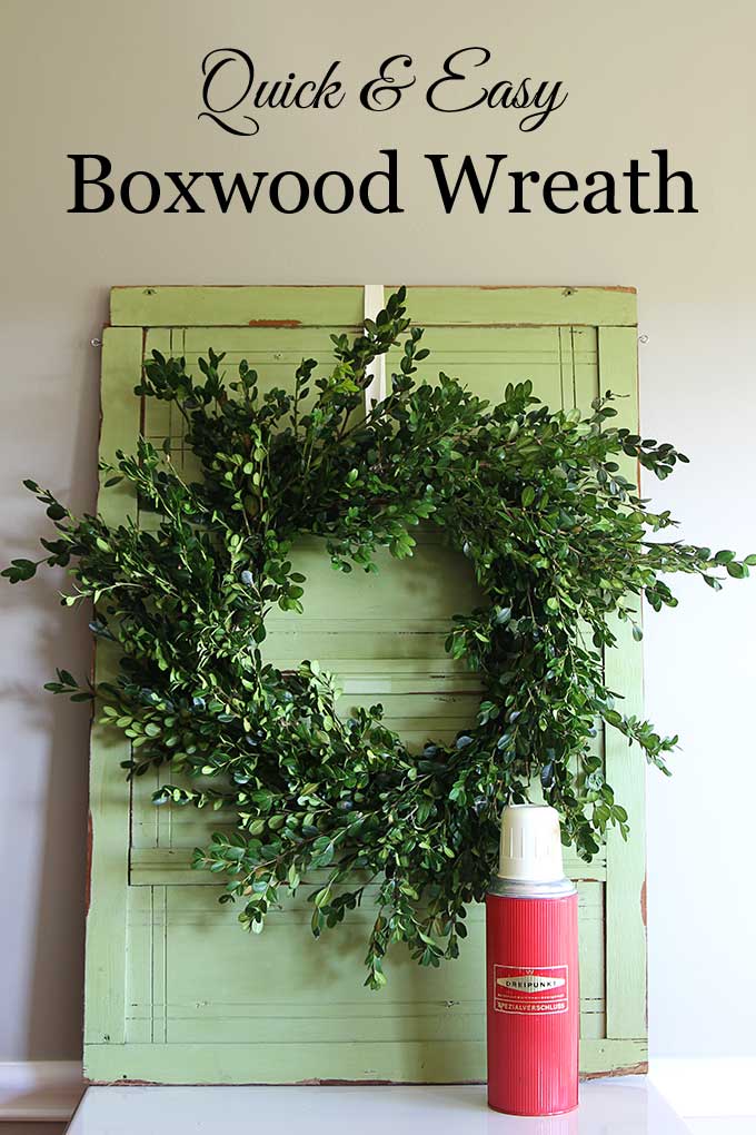 Learn how to make a super quick and easy DIY boxwood wreath. And did I mention it is inexpensive? Perfect for Christmas, yet looks great any time of the year.