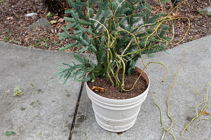 christmas-porch-planter-6039