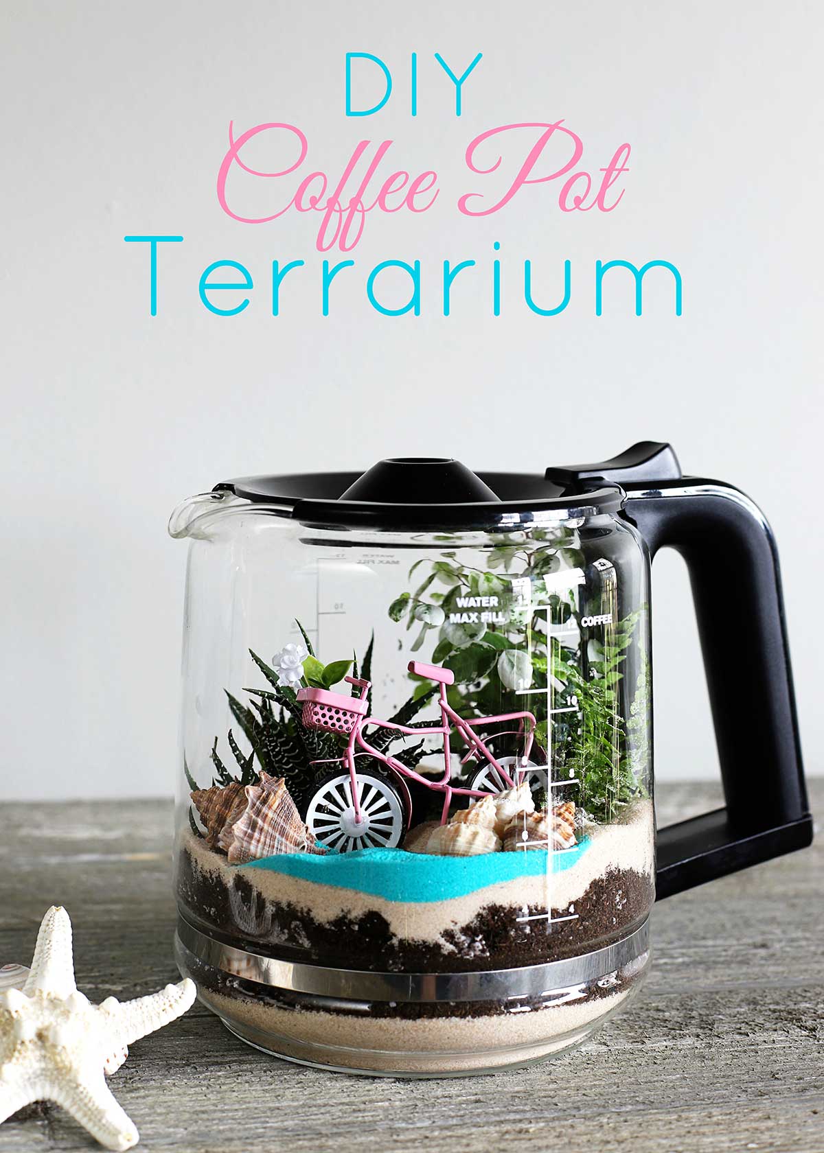 Quick and easy DIY coffee pot terrarium tutorial. 