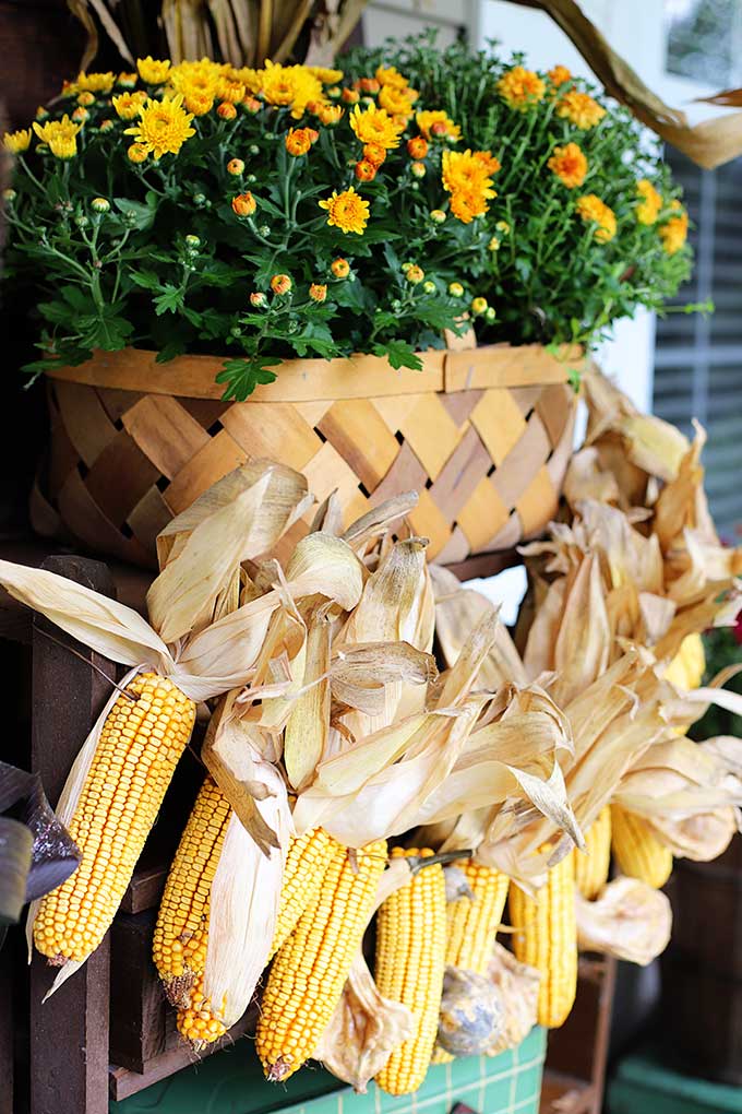 Corn garland for fall home decor.