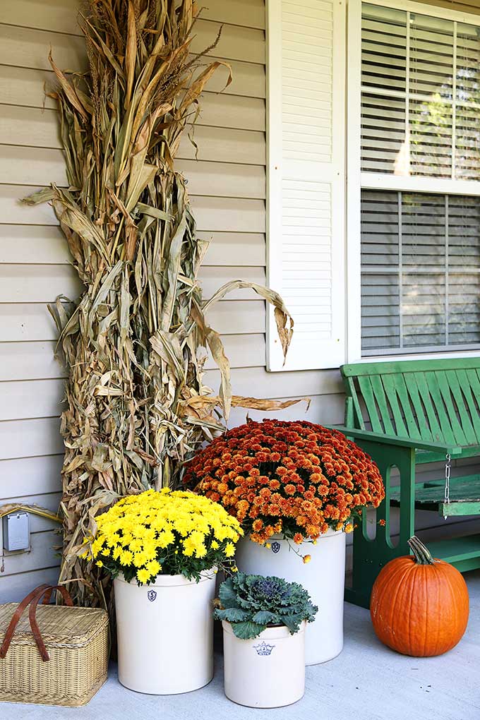 Cornstalks and mums for fall porch decor