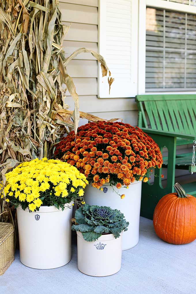 Vintage crocks and mums on fall porch