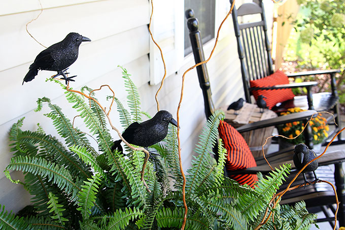 Halloween porch ideas using ravens