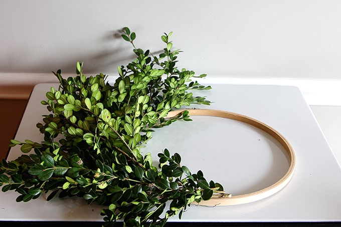 Learn how to make a super quick and easy boxwood wreath. And did I mention it is cheap? Perfect for the holidays, yet looks great any time of the year.