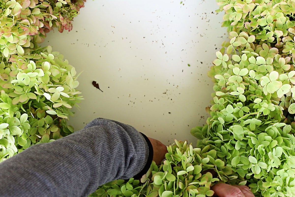 finishing hydrangea wreath