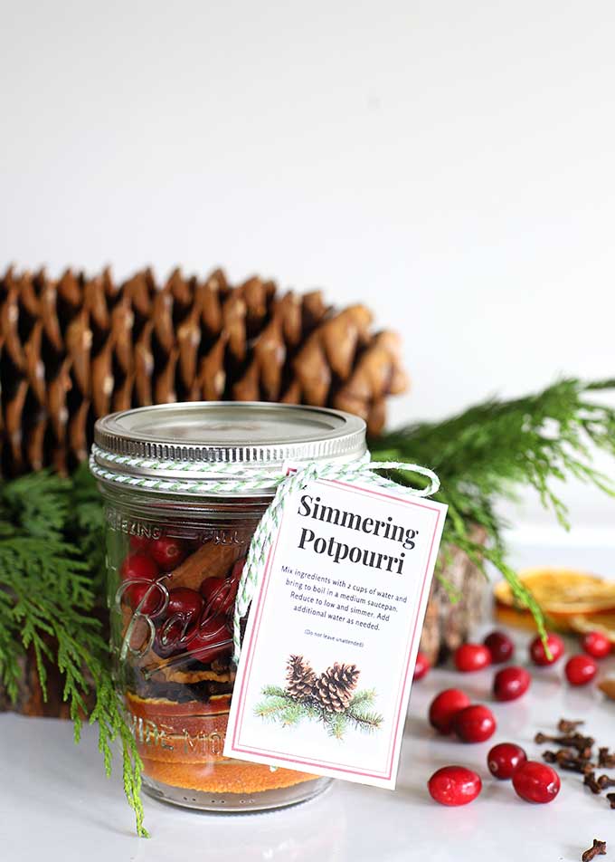 Homemade simmering Christmas potpourri DIY gift