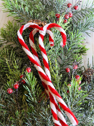 DIY pipe cleaner candy canes.