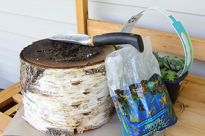 Natural log planter