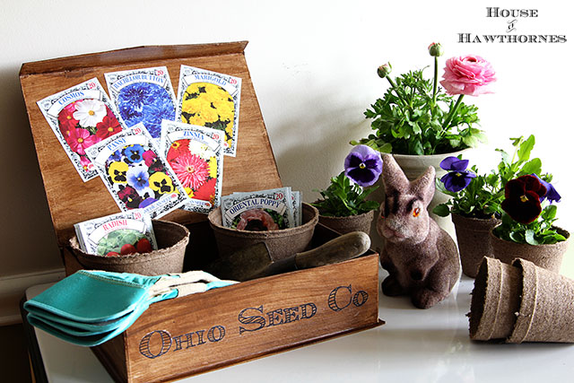 Make a vintage looking seed box.