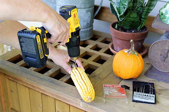 Drilling hole into corn cob to make a fall corn garland.