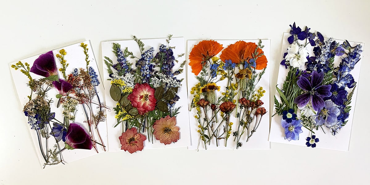 Bright and colorful dried and pressed flowers used in making pressed flower crafts.