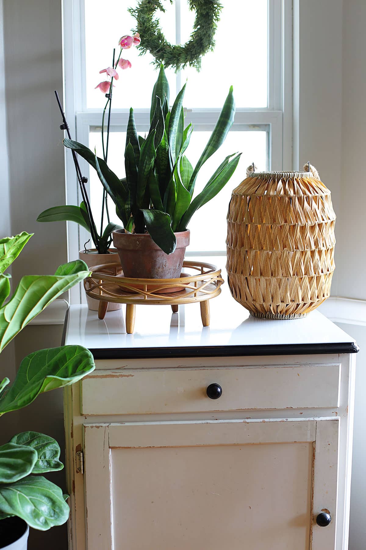 Elevated round bamboo plant stand fround at Walmart in 2023. It is holding a snake plant and setting on top of a vintage baker's cabinet next to an orchid.