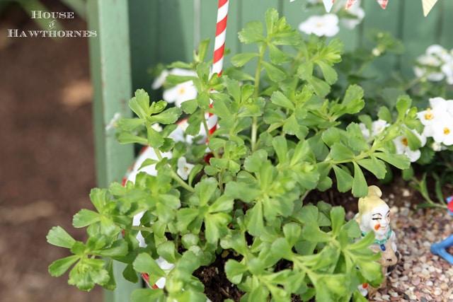 A super cute DIY circus themed fairy garden