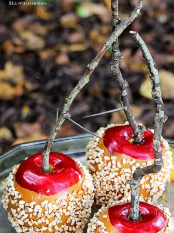 Quick and easy instruction for how to make DIY faux caramel apples for your fall decor. They are great for Halloween decorations also and they last years.