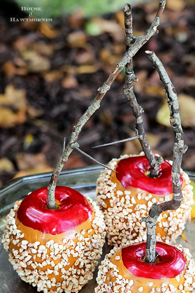 Quick and easy instruction for how to make DIY faux caramel apples for your fall decor. They are great for Halloween decorations also and they last years.