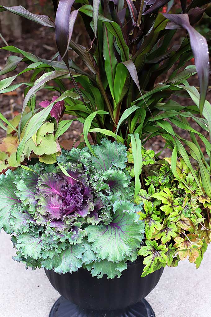 GORGEOUS colorful fall foliage planter for your porch.