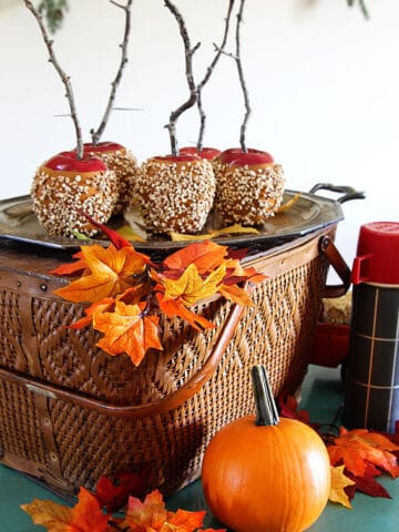 A fall home decor tour to give you inspiration and ideas for decorating your own home for autumn. 28 blogs included with lots of inexpensive fun ideas!