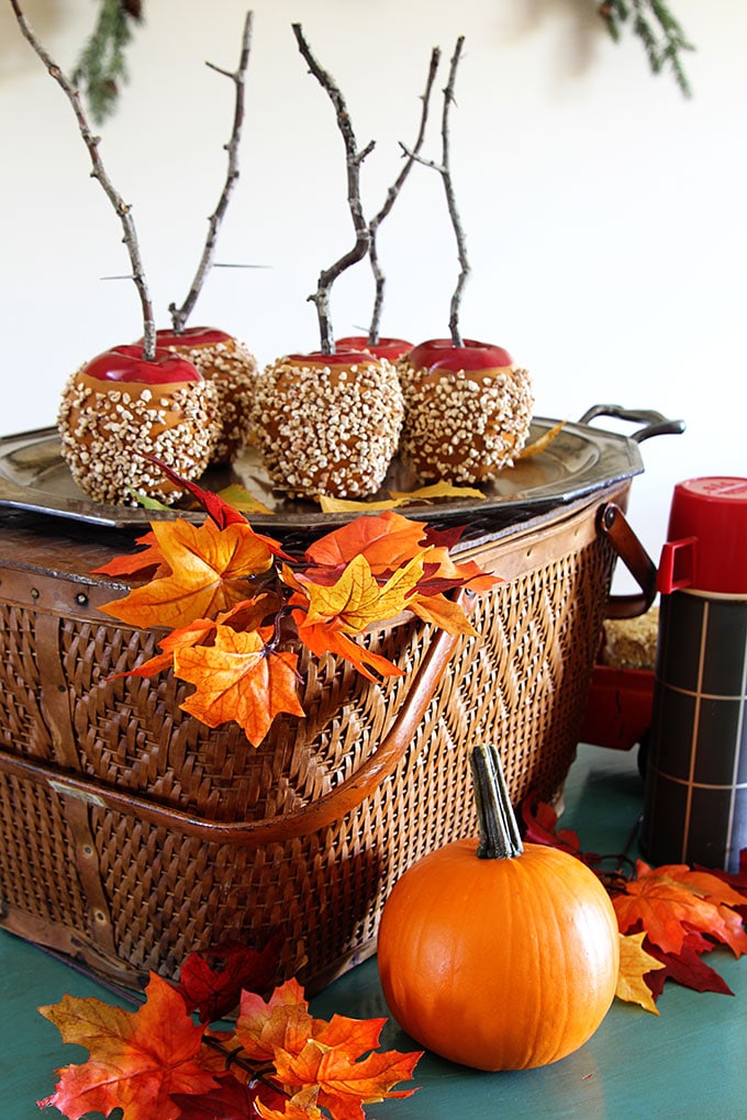 A fall home decor tour to give you inspiration and ideas for decorating your own home for autumn. 28 blogs included with lots of inexpensive fun ideas!