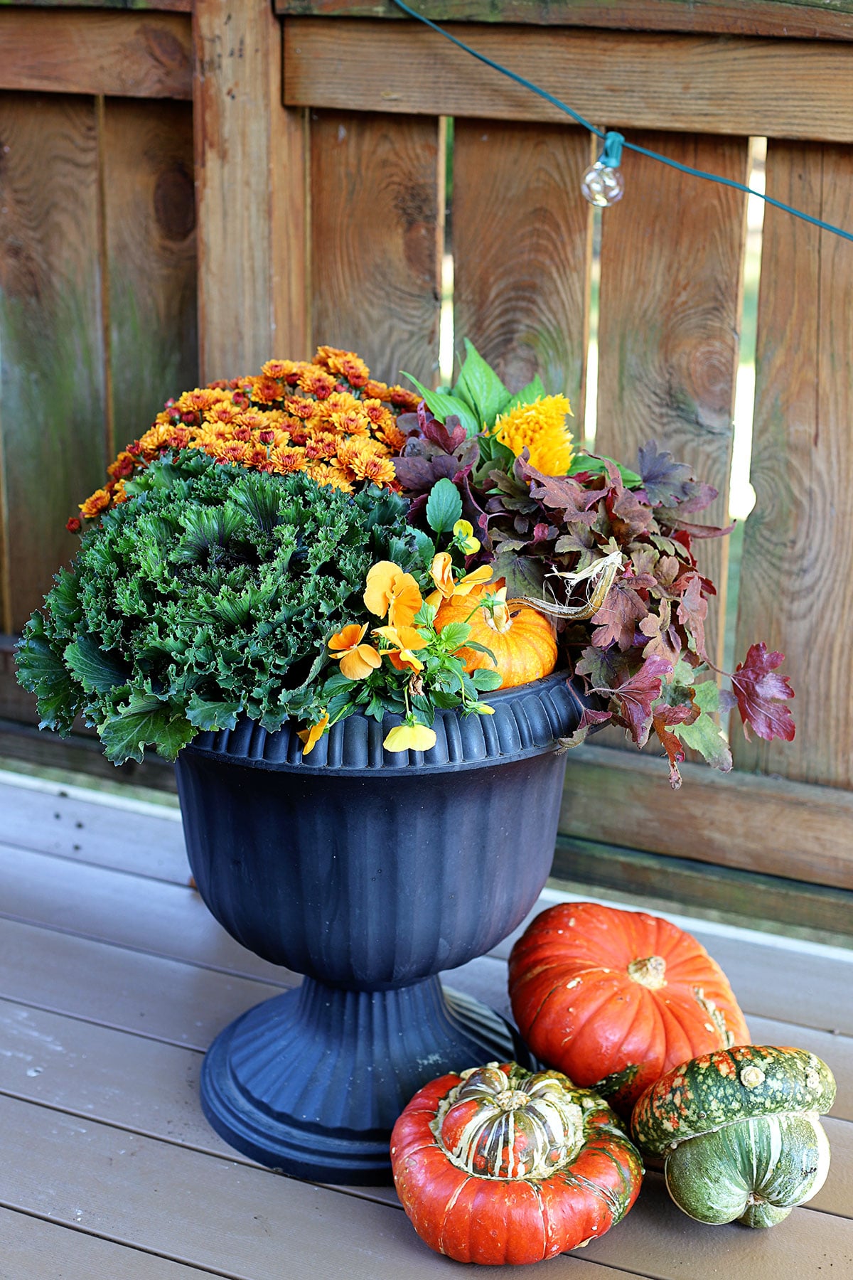 Fall planter using traditional fall plants.