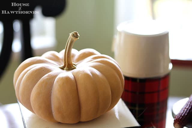 Quick and easy fall table decor. Just add a few key fall elements like acorns, pumpkins or Indian corn to the table and you've got an instant fall look. via houseofhawthornes.com