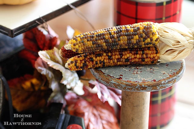 Quick and easy fall table decor. Just add a few key fall elements like acorns, pumpkins or Indian corn to the table and you've got an instant fall look. via houseofhawthornes.com