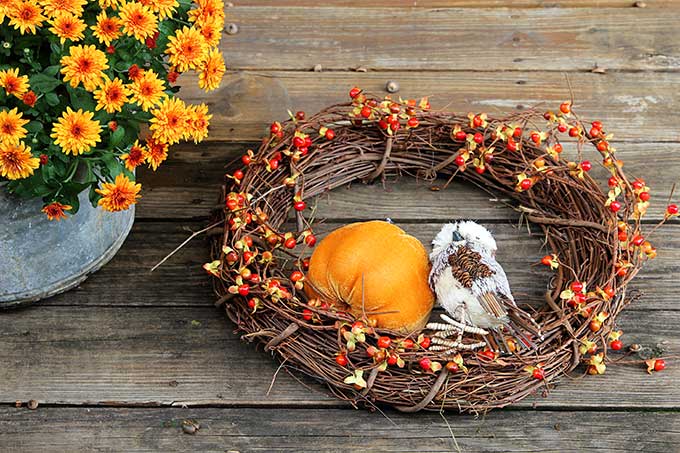 Fall wreaths DIY