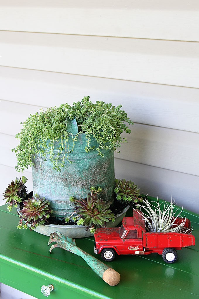 A chicken feeder or waterer filled with succulents is a great way to add a little farmhouse decor to your garden, porch or patio this summer. Other farmhouse garden planter ideas and tips on growing succulents are included!