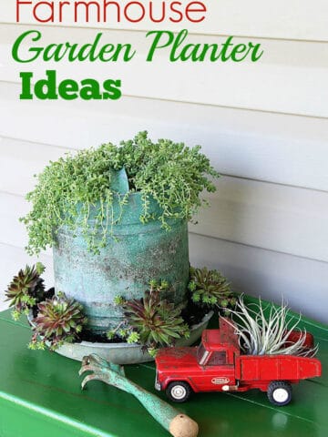 A chicken feeder or waterer filled with succulents is a great way to add a little farmhouse decor to your garden, porch or patio this summer. Other farmhouse garden planter ideas and tips on growing succulents are included!