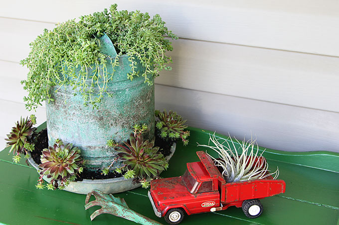 A chicken feeder or waterer filled with succulents is a great way to add a little farmhouse decor to your garden, porch or patio this summer. Other farmhouse garden planter ideas and tips on growing succulents are included!