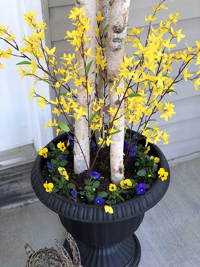 Quick and easy spring porch pot inspiration for transforming your tired winter pots to beautiful spring porch decor. A great front porch decorating idea on a budget!