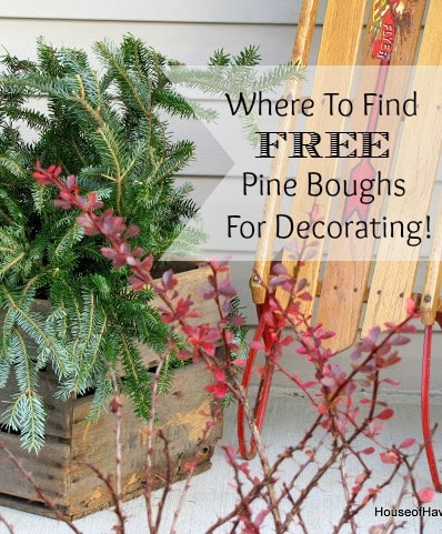 You are not going to believe where you can find FREE pine boughs for your Christmas decorating. 