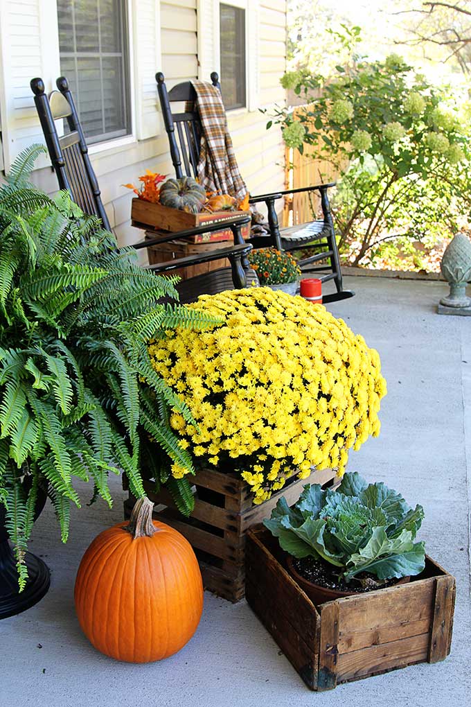 Traditional farmhouse front porch fall decor