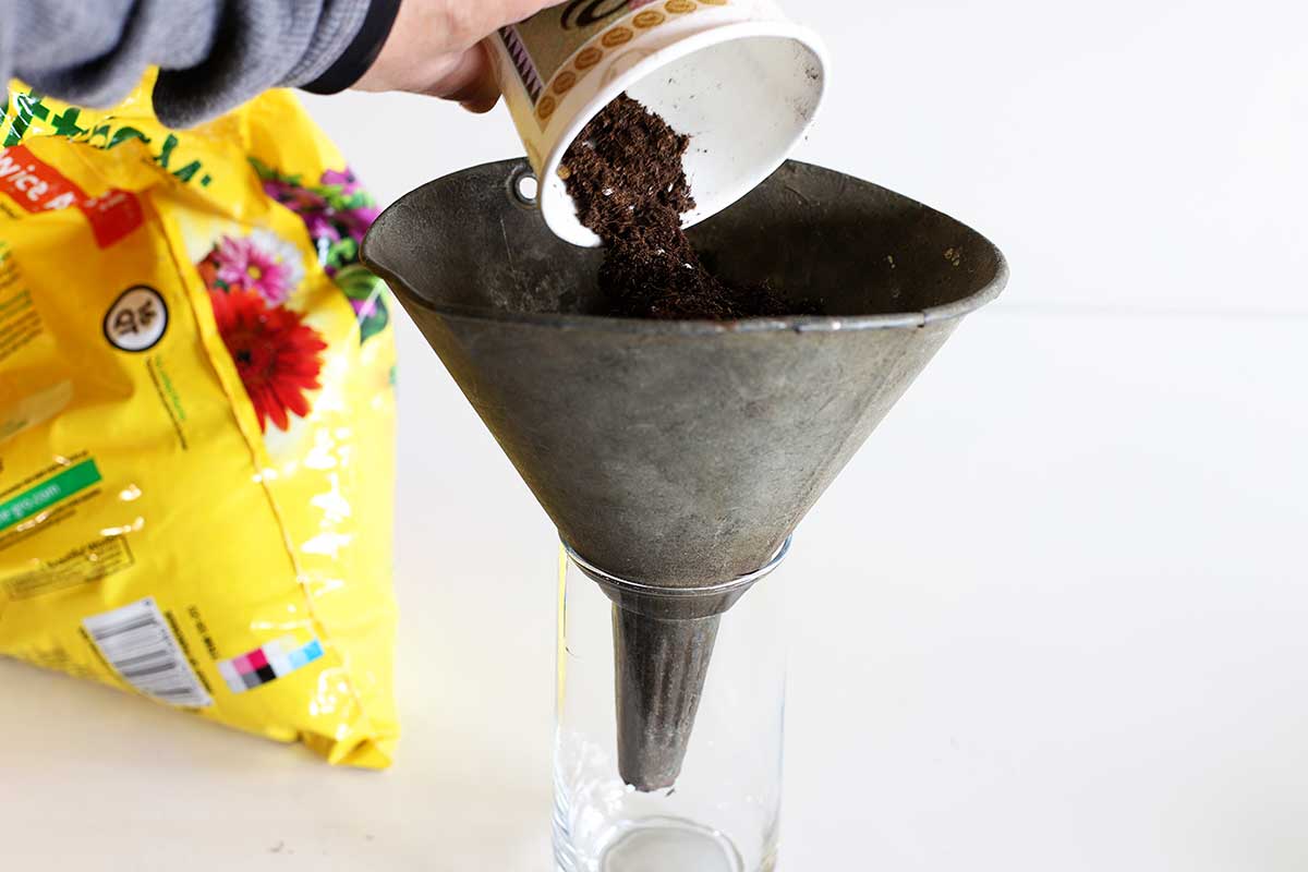 planting in a galvanized funnel