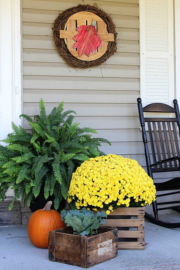 Fall front porch ideas using mums and pumpkins