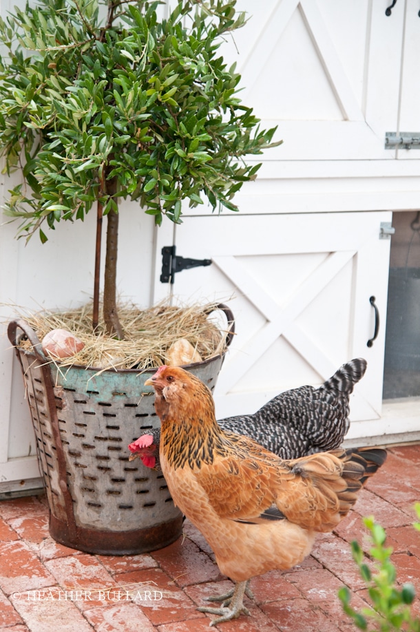 Olive bucket from Heather Bullard