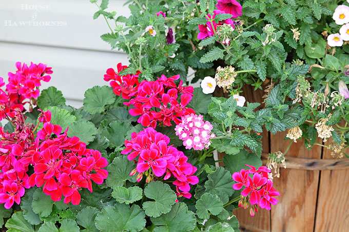 Summer porch decorating ideas and inspiration using farmhouse touches, vintage items, plenty of annual flowers and a healthy dose of patriotic decor. 