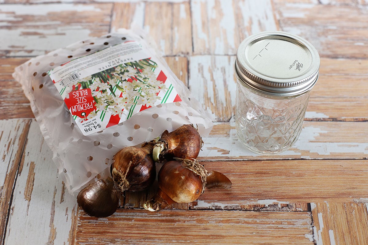 Paperwhite bulbs and a mason jar.