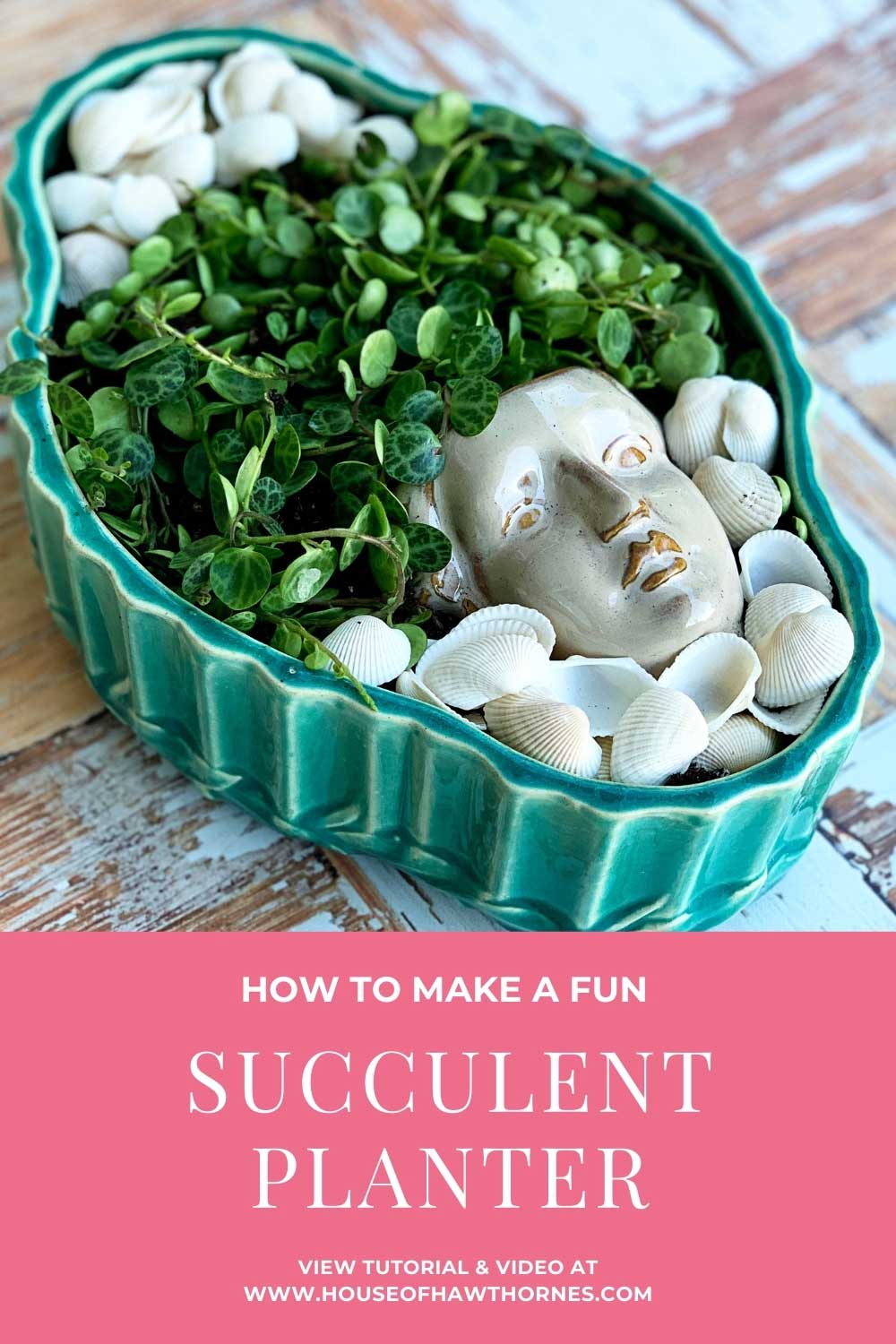 Learn how to create this fun succulent planter for your coffee table. Including tips for planting in a shallow container with no drainage holes.