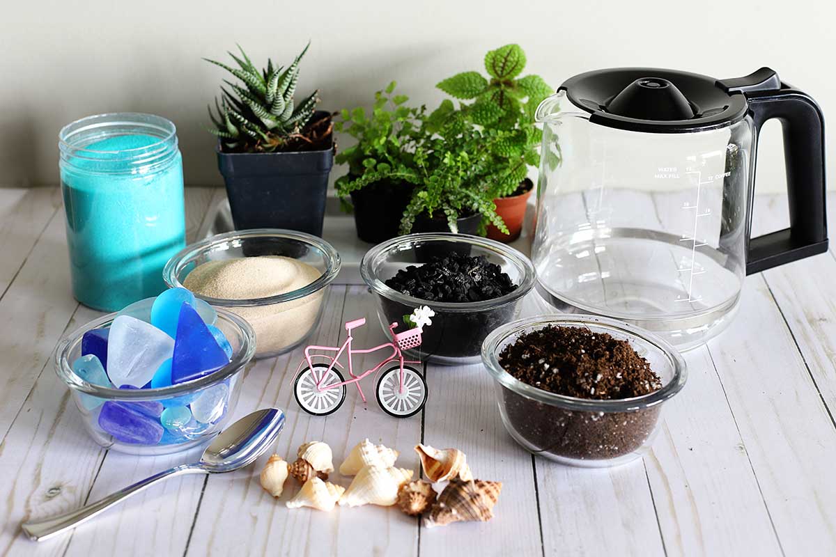 Coffee pot terrarium supplies