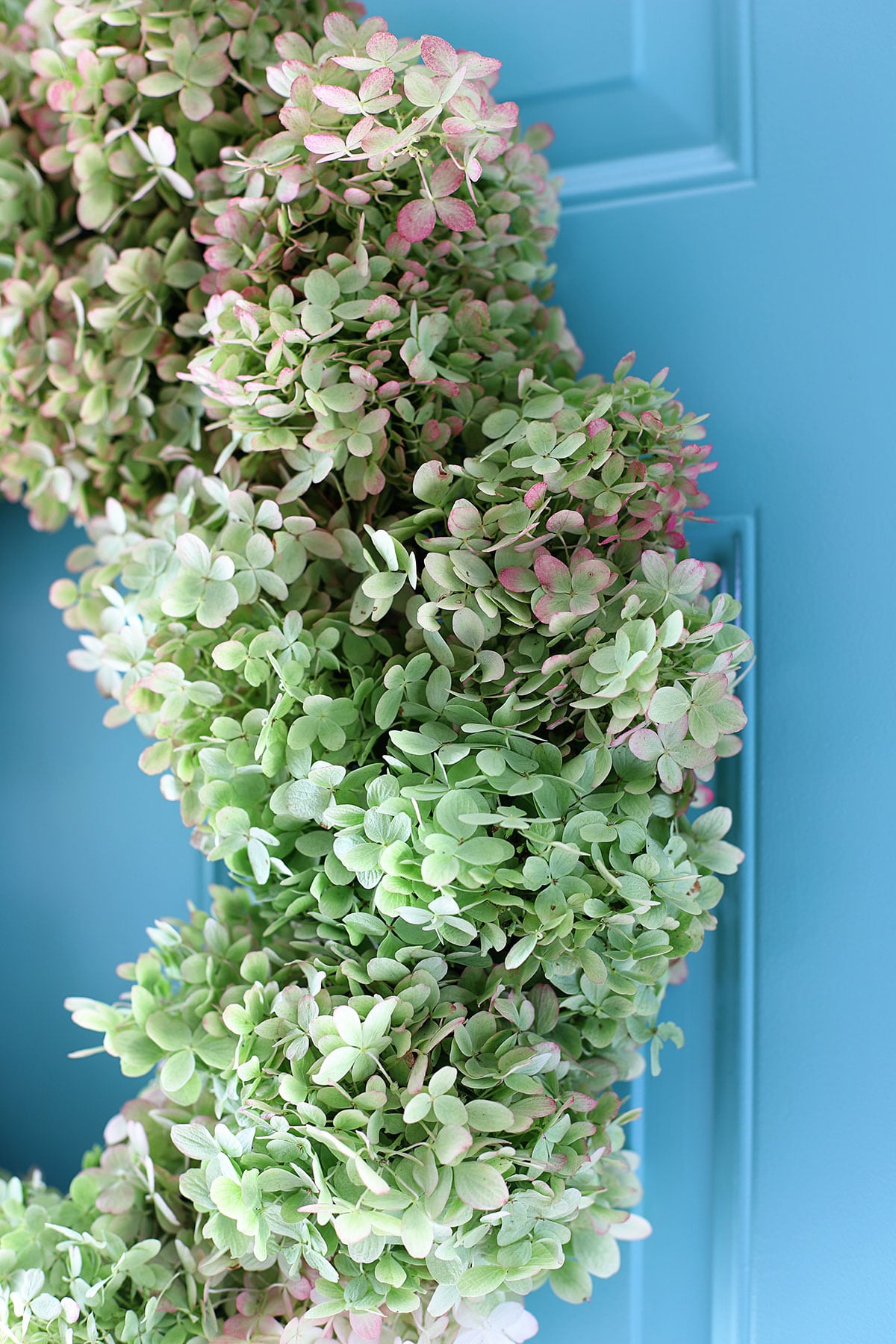 limelight hydrangea wreath