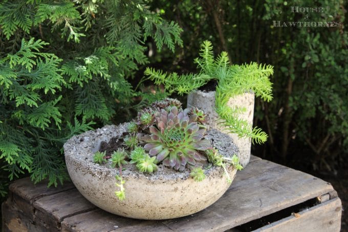 How to make hypertufa planters