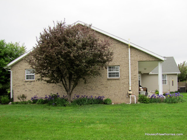 Brick house with a flower bed of purple iris.