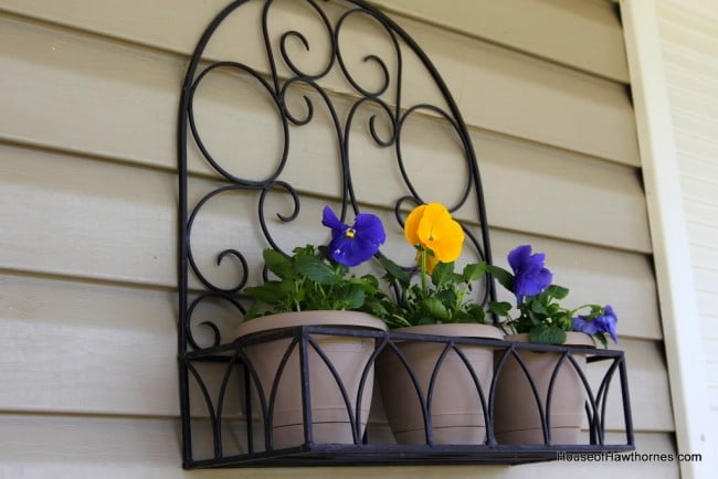 Pansies in flower pots.