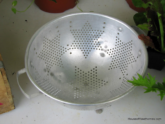 Planting lettuce in a colander - use coffee filter as a liner, fill with potting soil and plant your favorite lettuces. 