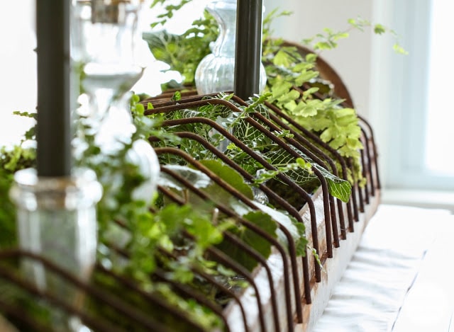 Vintage chicken feeder used as a table centerpiece. 