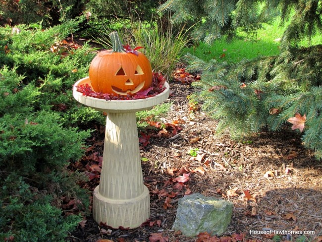 A pumpkin in a birdbath may not be traditional fall decor, but it is a fun and easy way to display your outdoor Jack O Lantern for Halloween