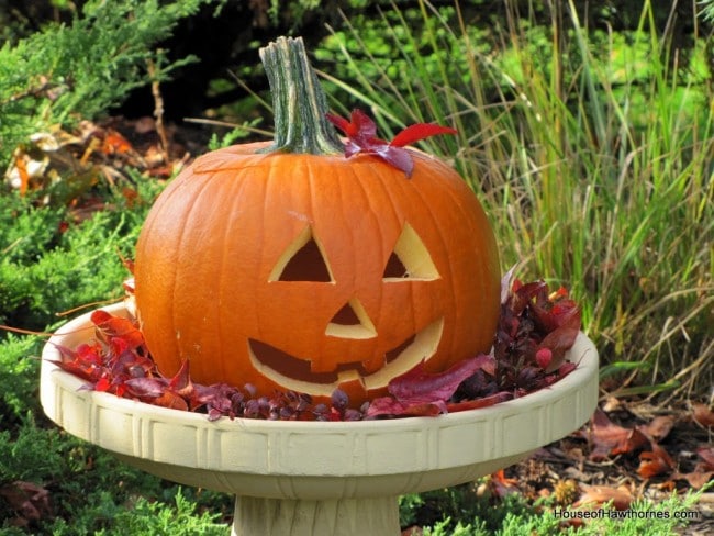 A pumpkin in a birdbath may not be traditional fall decor, but it is a fun and easy way to display your outdoor Jack O Lantern for Halloween