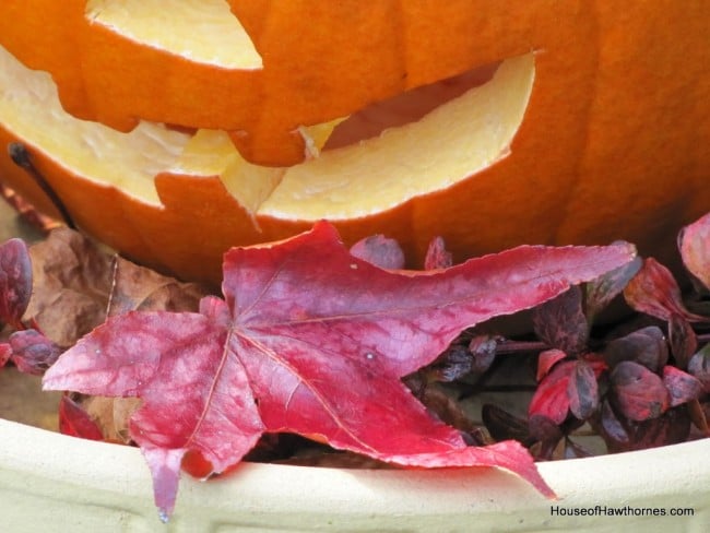 A pumpkin in a birdbath may not be traditional fall decor, but it is a fun and easy way to display your outdoor Jack O Lantern for Halloween